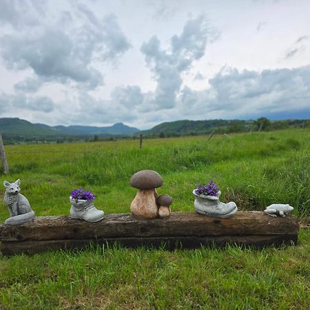 Wataha Pod Basztami - Wadera - Domki Caloroczne Radkow Exterior foto